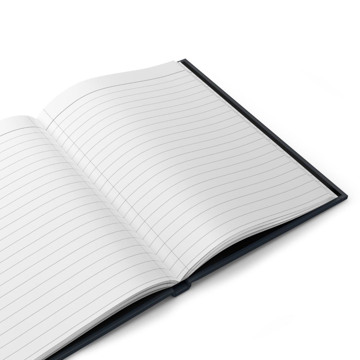 BIG BOOK OF BULLSHIT